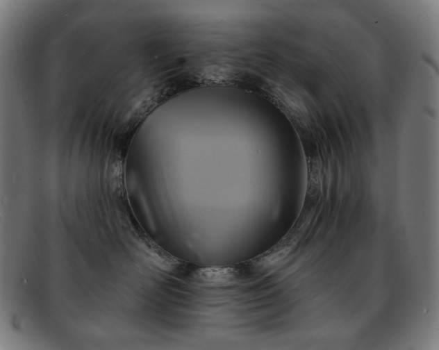 X0000091890526200709121442