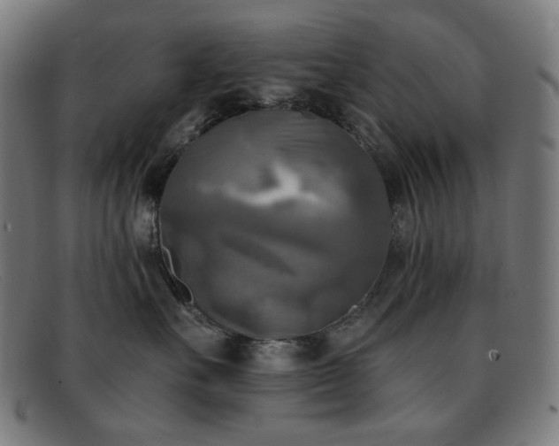 X0000091890527200709121442