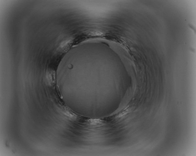 X0000091890528200709121442