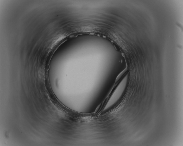 X0000091890530200709121442