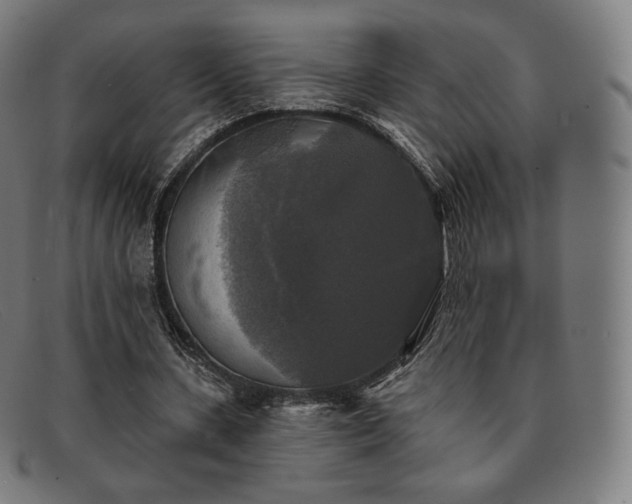 X0000091890531200709121442