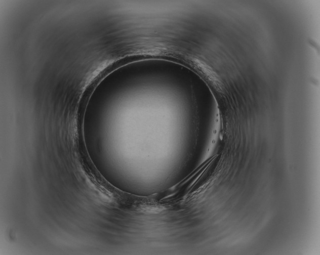 X0000091890532200709121442