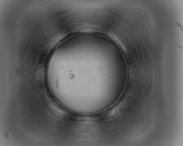 X0000091890533200709121442