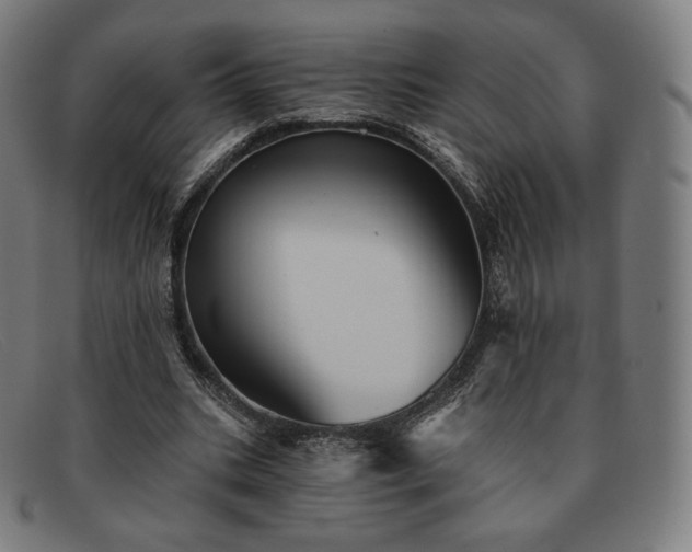X0000091890535200709121442