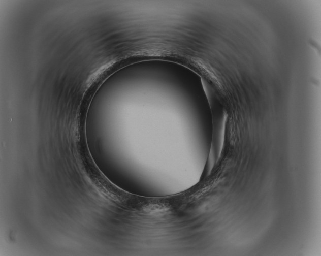 X0000091890536200709121442