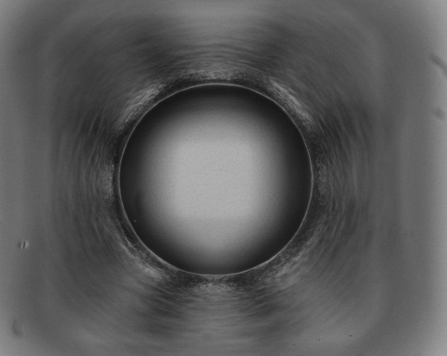 X0000091890537200709121442