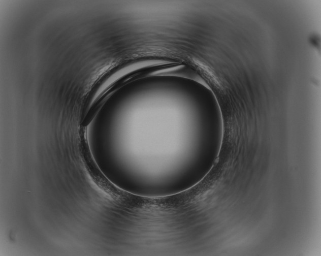 X0000091890538200709121442