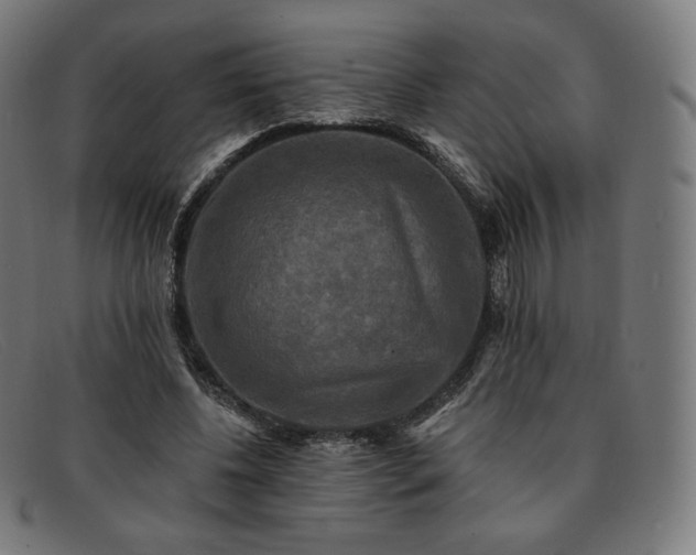 X0000091890540200709121442