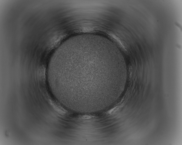 X0000091890542200709121442