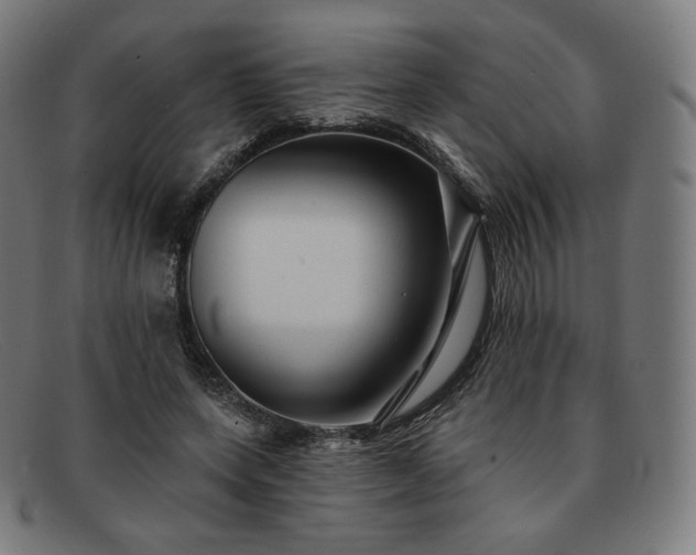 X0000091890543200709121442
