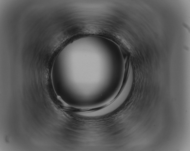 X0000091890544200709121442