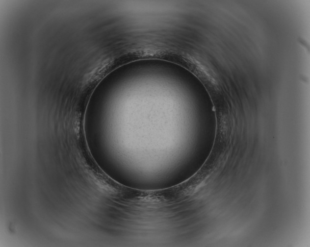 X0000091890545200709121442