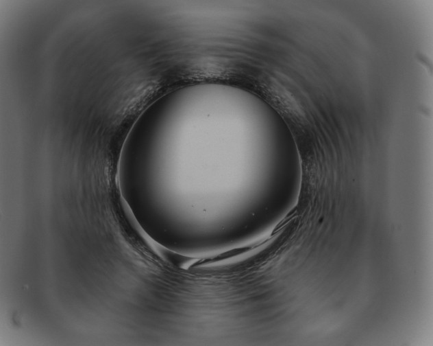 X0000091890546200709121442