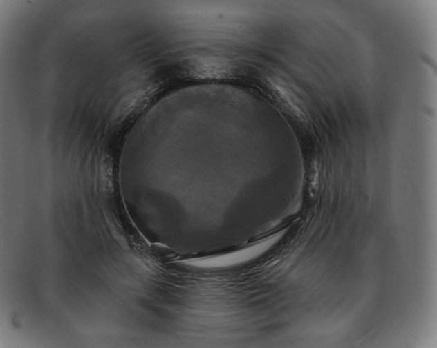 X0000091890547200709121442