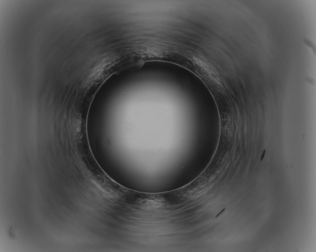 X0000091890548200709121442