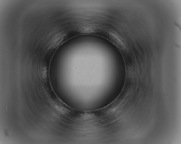 X0000091890549200709121442
