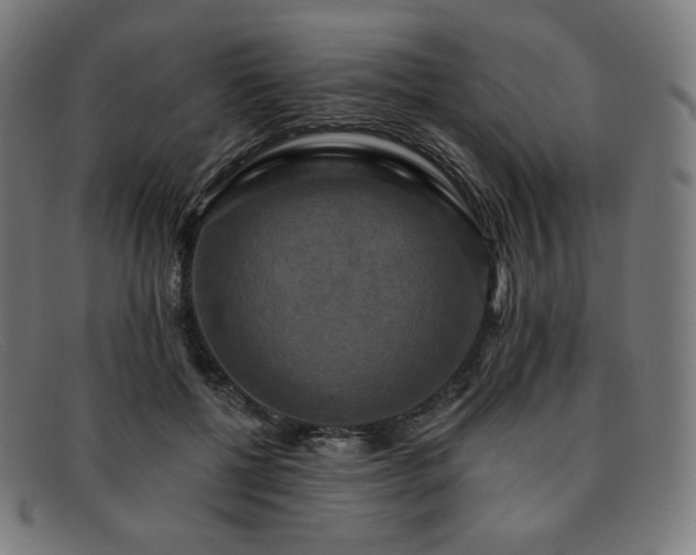 X0000091890552200709121442