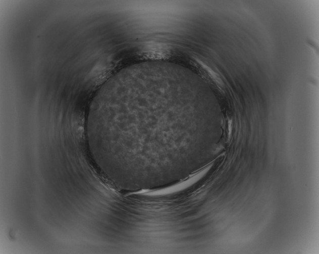 X0000091890553200709121442