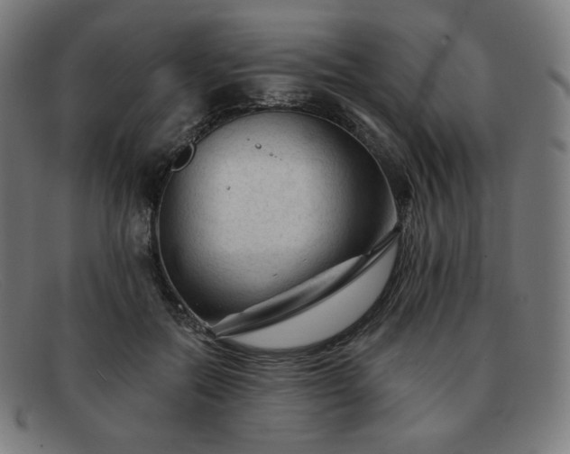X0000091890554200709121442