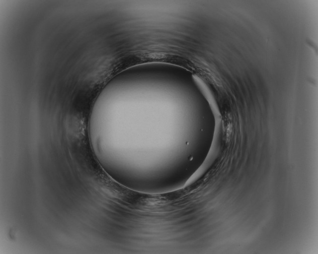 X0000091890555200709121442