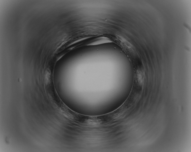 X0000091890556200709121442