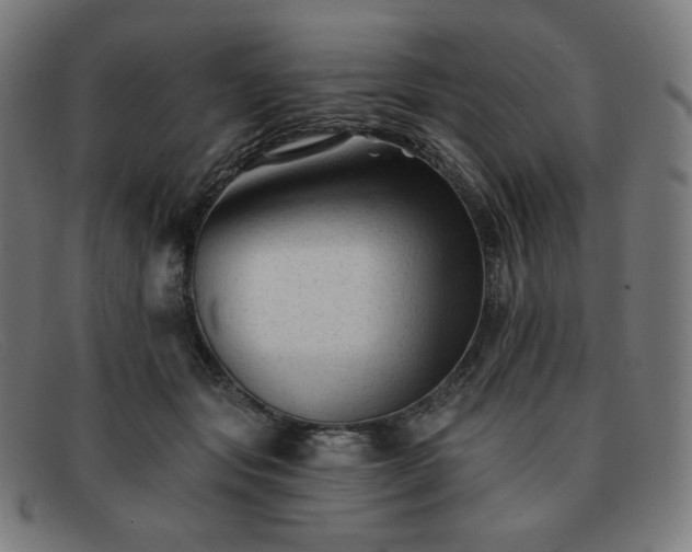 X0000091890557200709121442