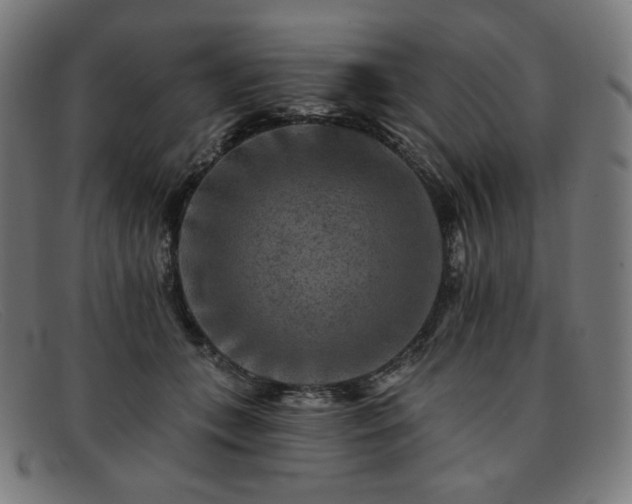X0000091890559200709121442
