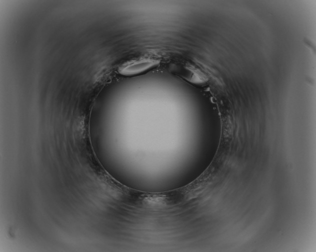 X0000091890560200709121442