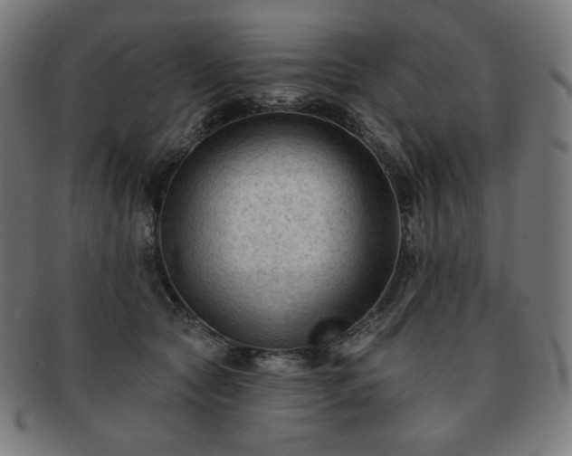 X0000091890561200709121442