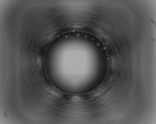 X0000091890562200709121442