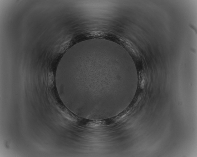 X0000091890563200709121442
