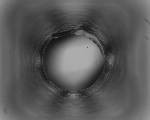 X0000091890564200709121442