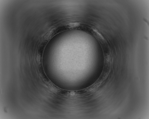 X0000091890565200709121442