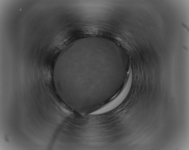 X0000091890566200709121442