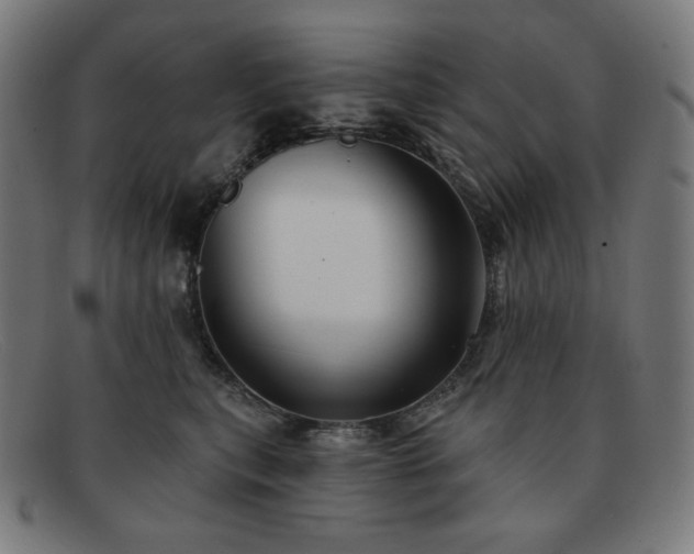 X0000091890567200709121442