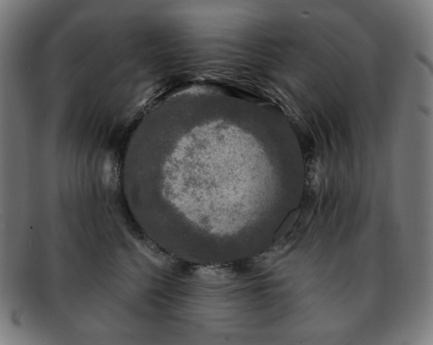 X0000091890568200709121442