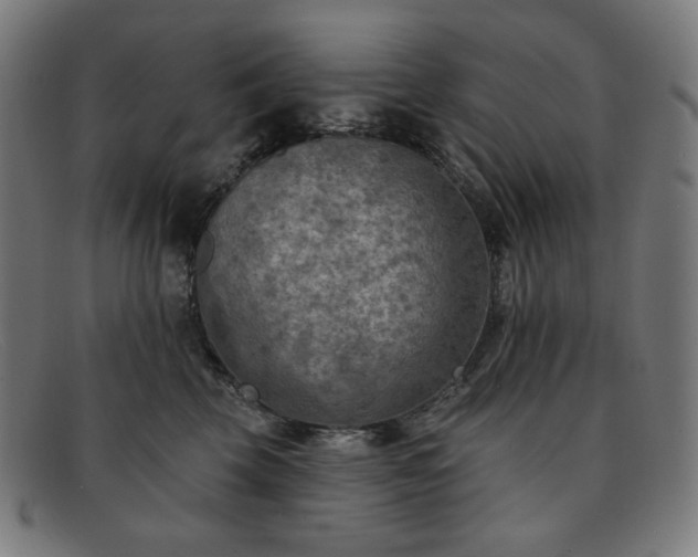 X0000091890569200709121442