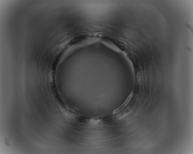 X0000091890570200709121442