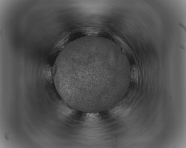 X0000091890573200709121442