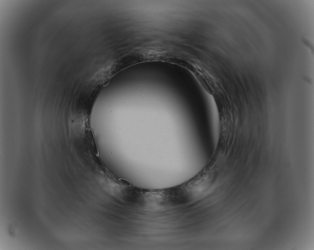 X0000091890574200709121442