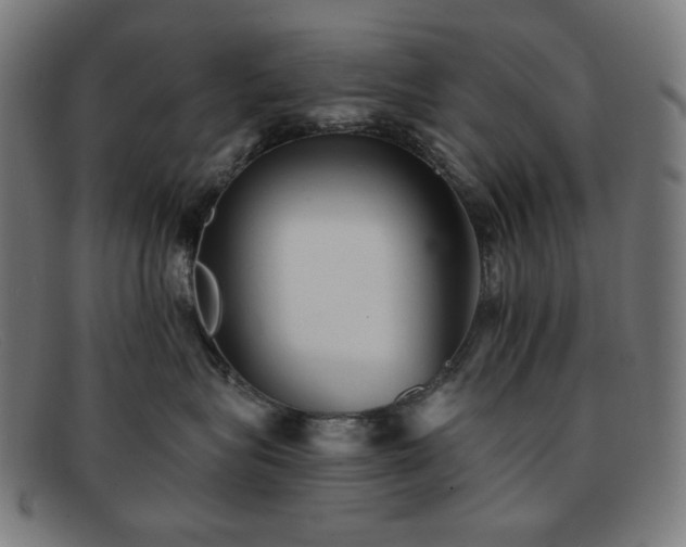 X0000091890575200709121442