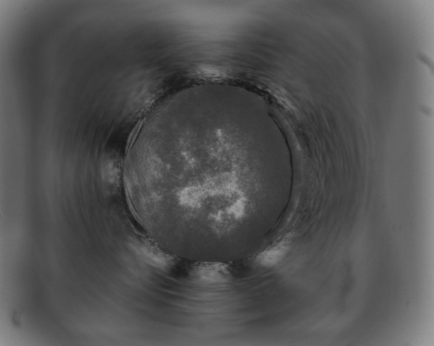 X0000091890576200709121442