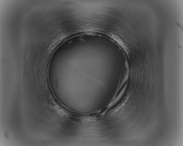 X0000091890577200709121442