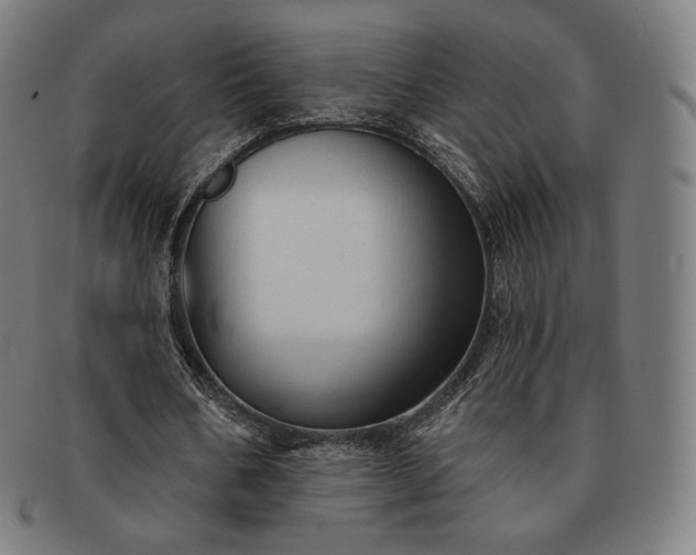 X0000091890578200709121442