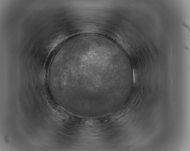 X0000091890579200709121442