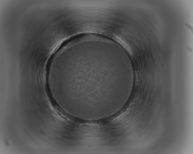 X0000091890580200709121442