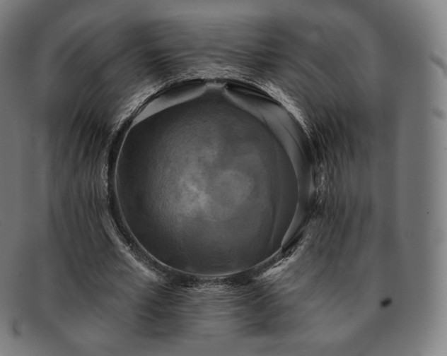 X0000091890581200709121441