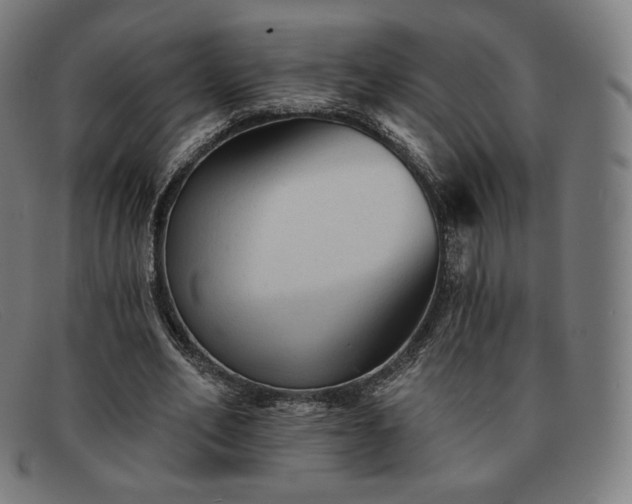 X0000091890582200709121441