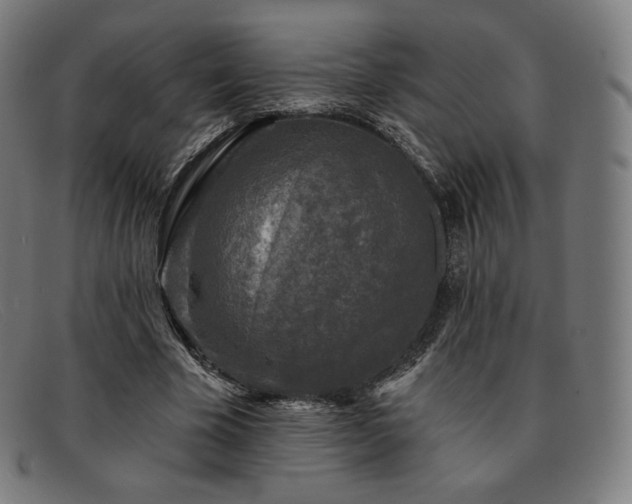 X0000091890585200709121441