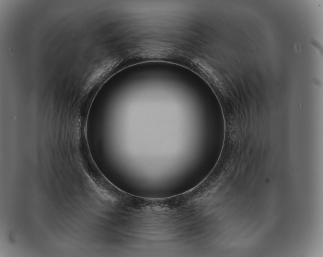 X0000091890586200709121441